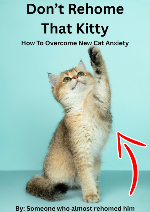 New cat anxiety guide for helping adopted cats adjust