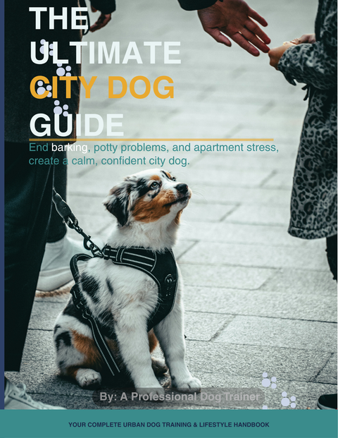 City dog training guide for apartment dog owners